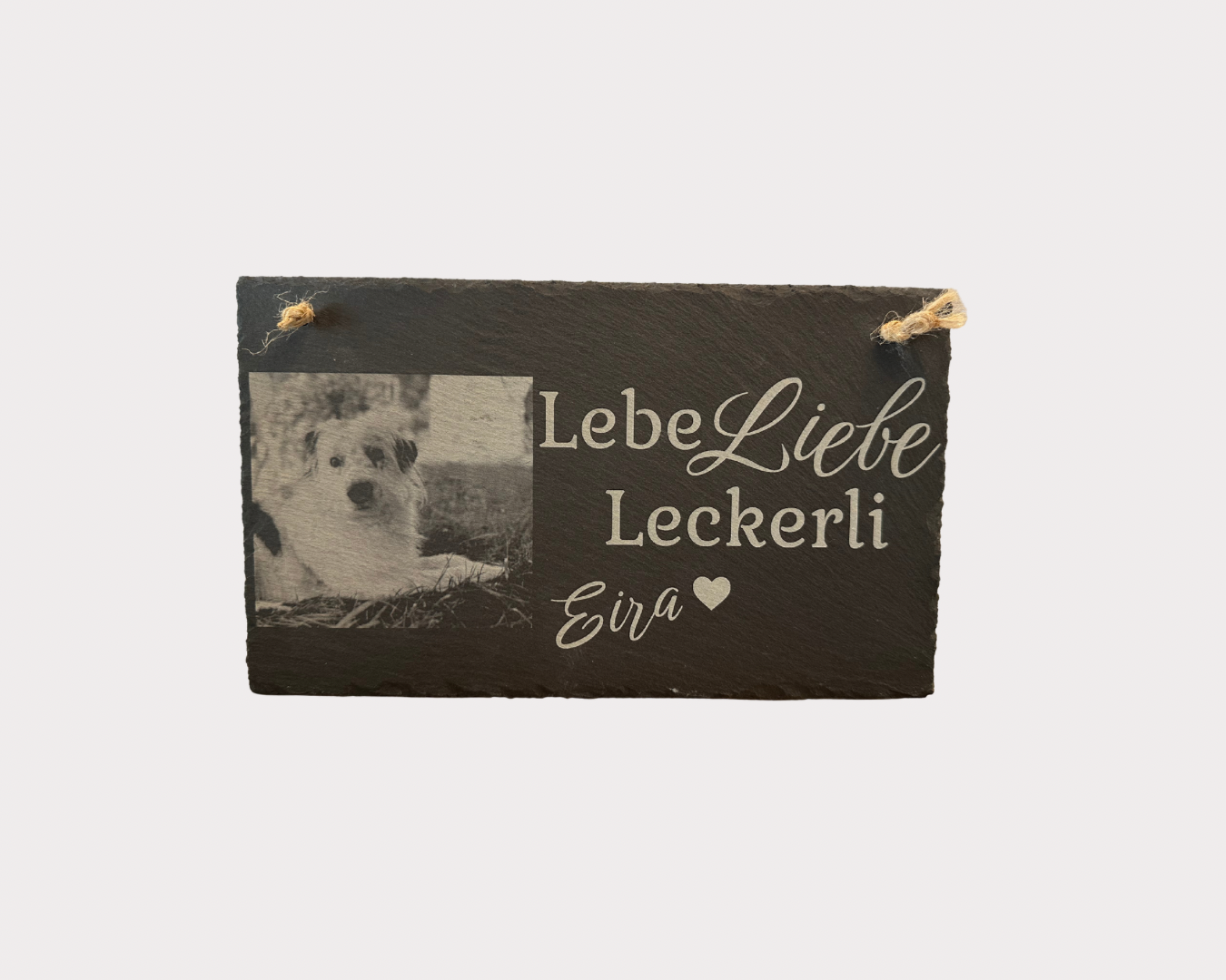 Hundefreund