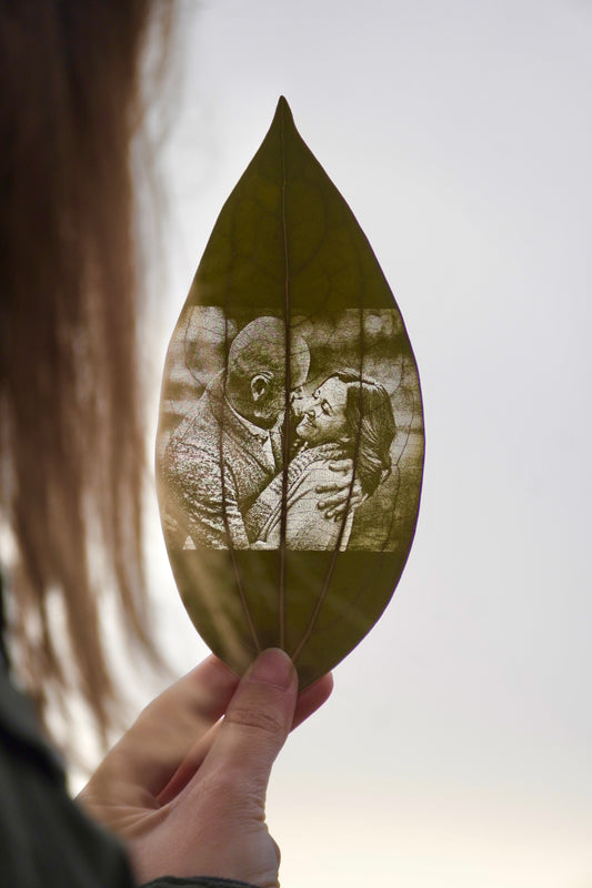 Fotogravur, Zimtblätter