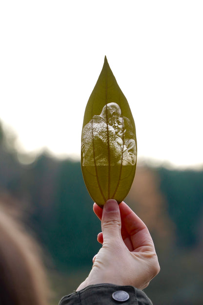 Fotogravur, Zimtblätter