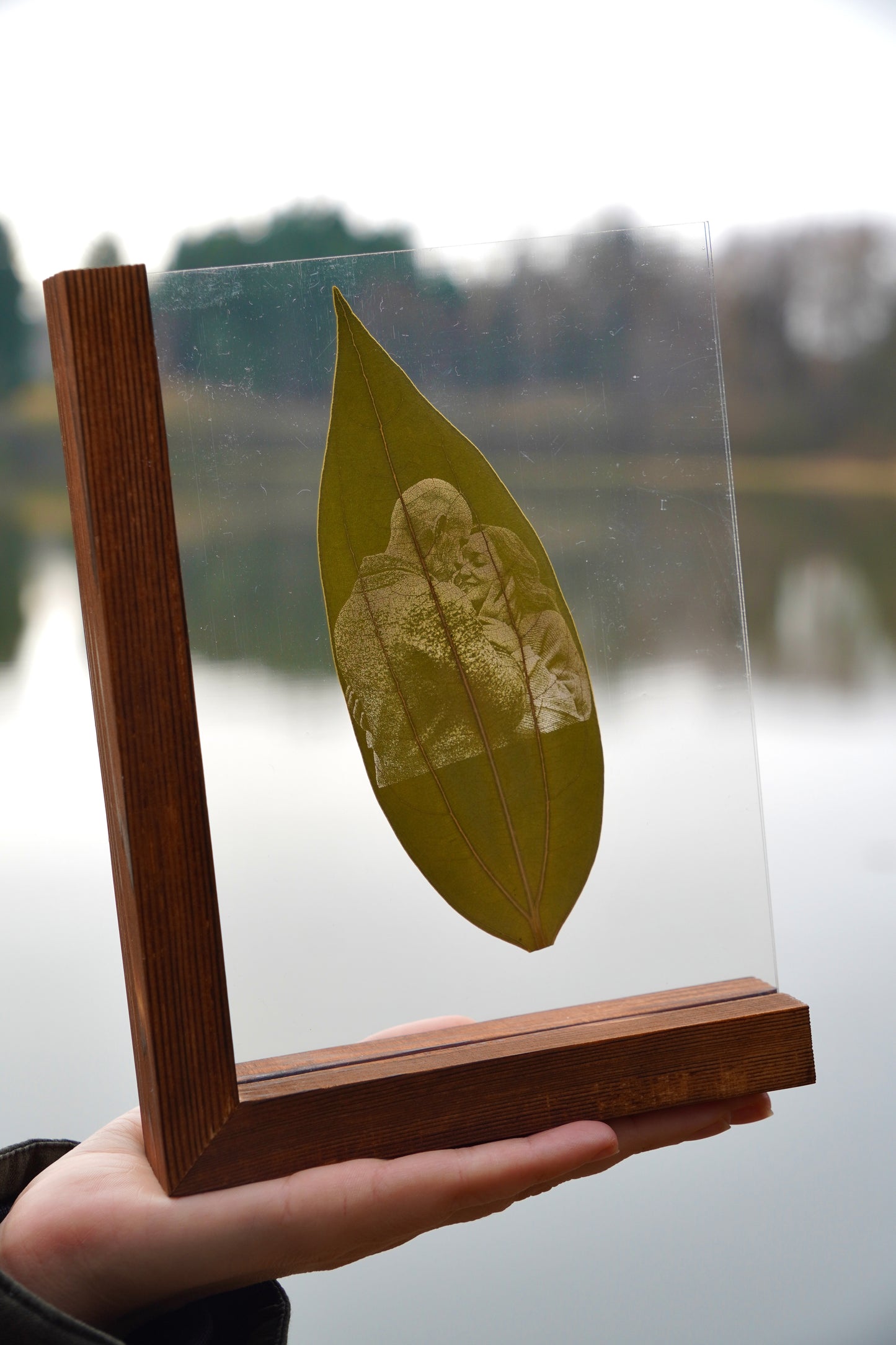 Fotogravur, Zimtblätter